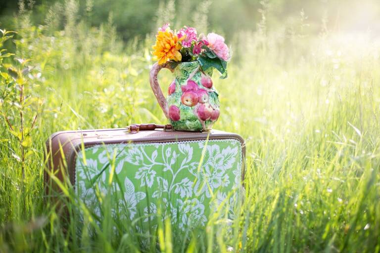 Valise vintage posée dans l'herbe haute avec un vase garni de fleurs